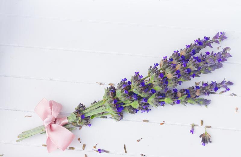 lavender for luck