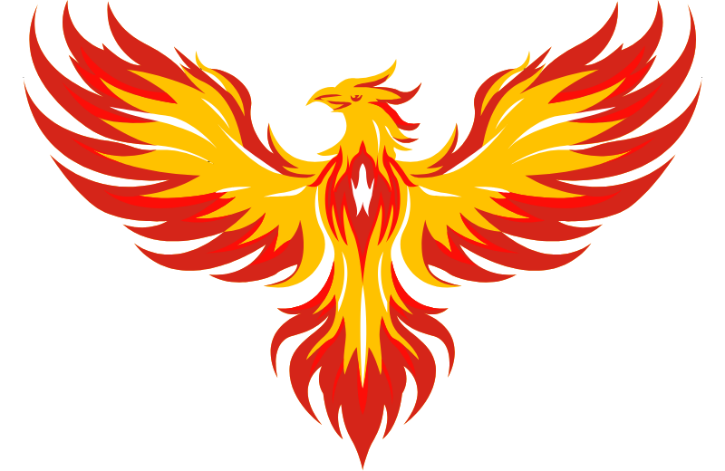 What Does a Phoenix Bird Look Like?