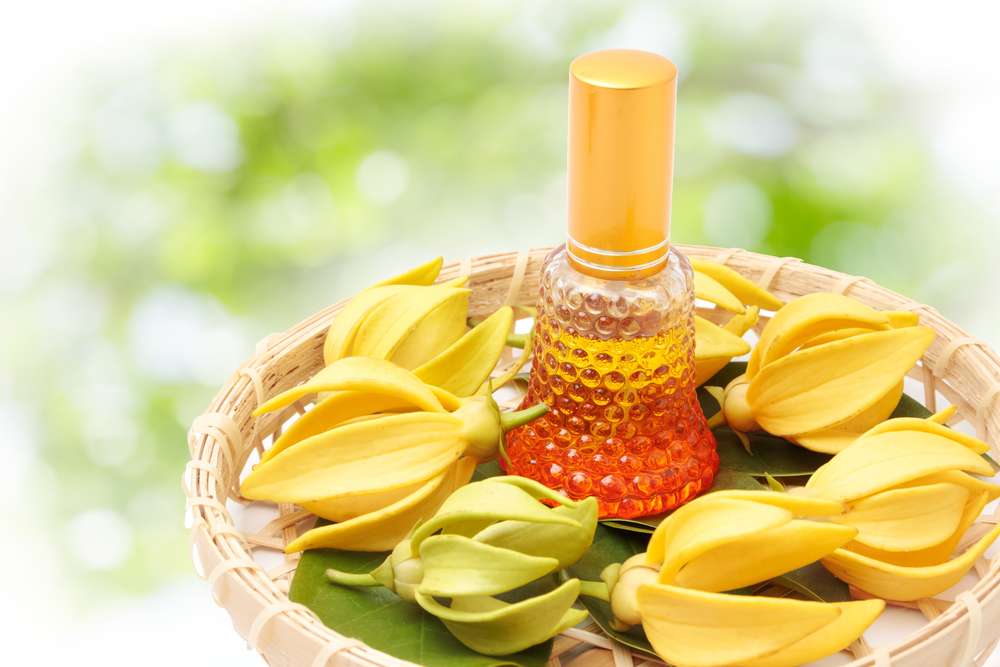 Ylang Ylang on a bamboo tray with a bottle of oil