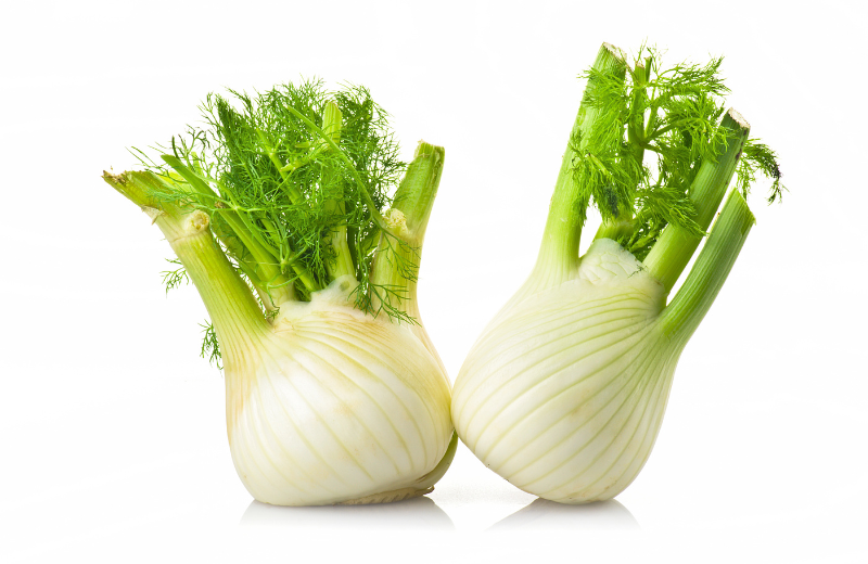 Fennel