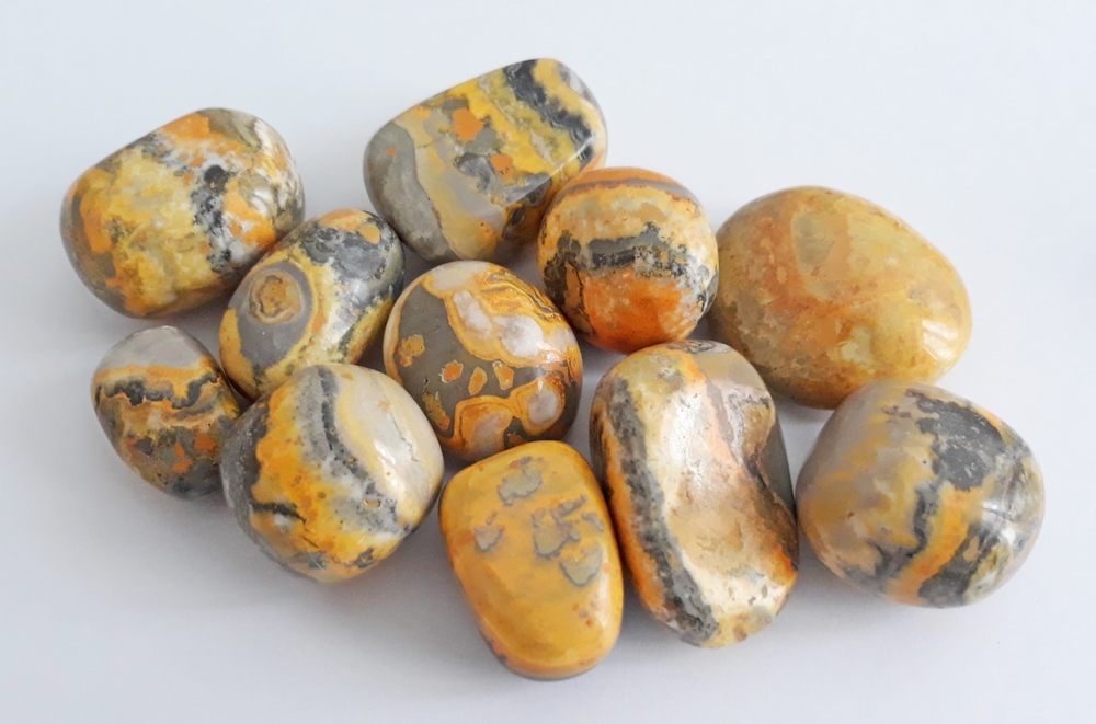 Multiple pieces of Bumblebee Jasper