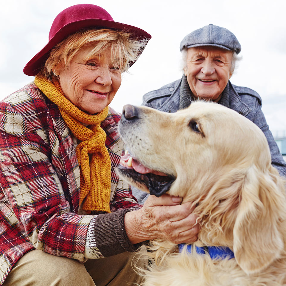 Woman cuddling an older dog