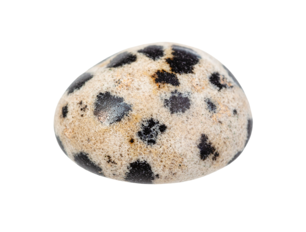 Dalmatian jasper gemstone