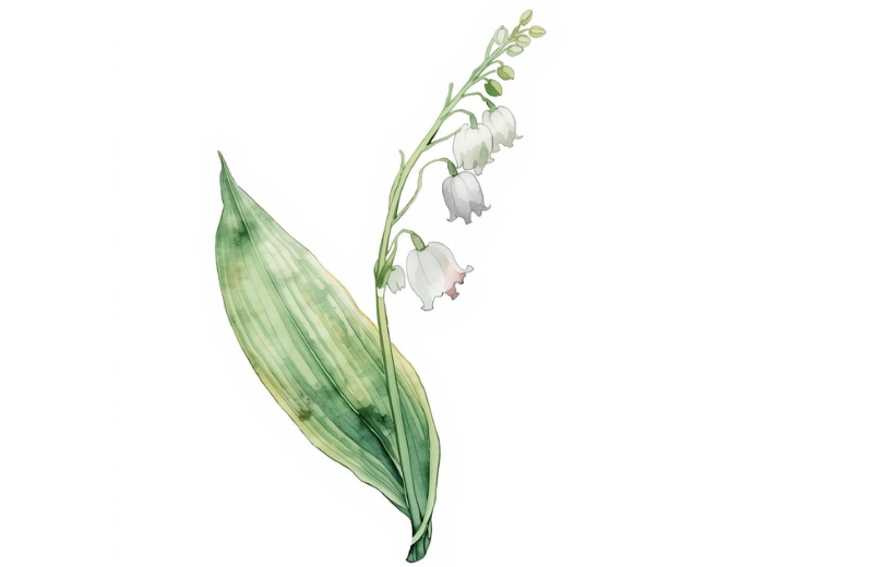 lily of the valley may birth flower tattoo idea