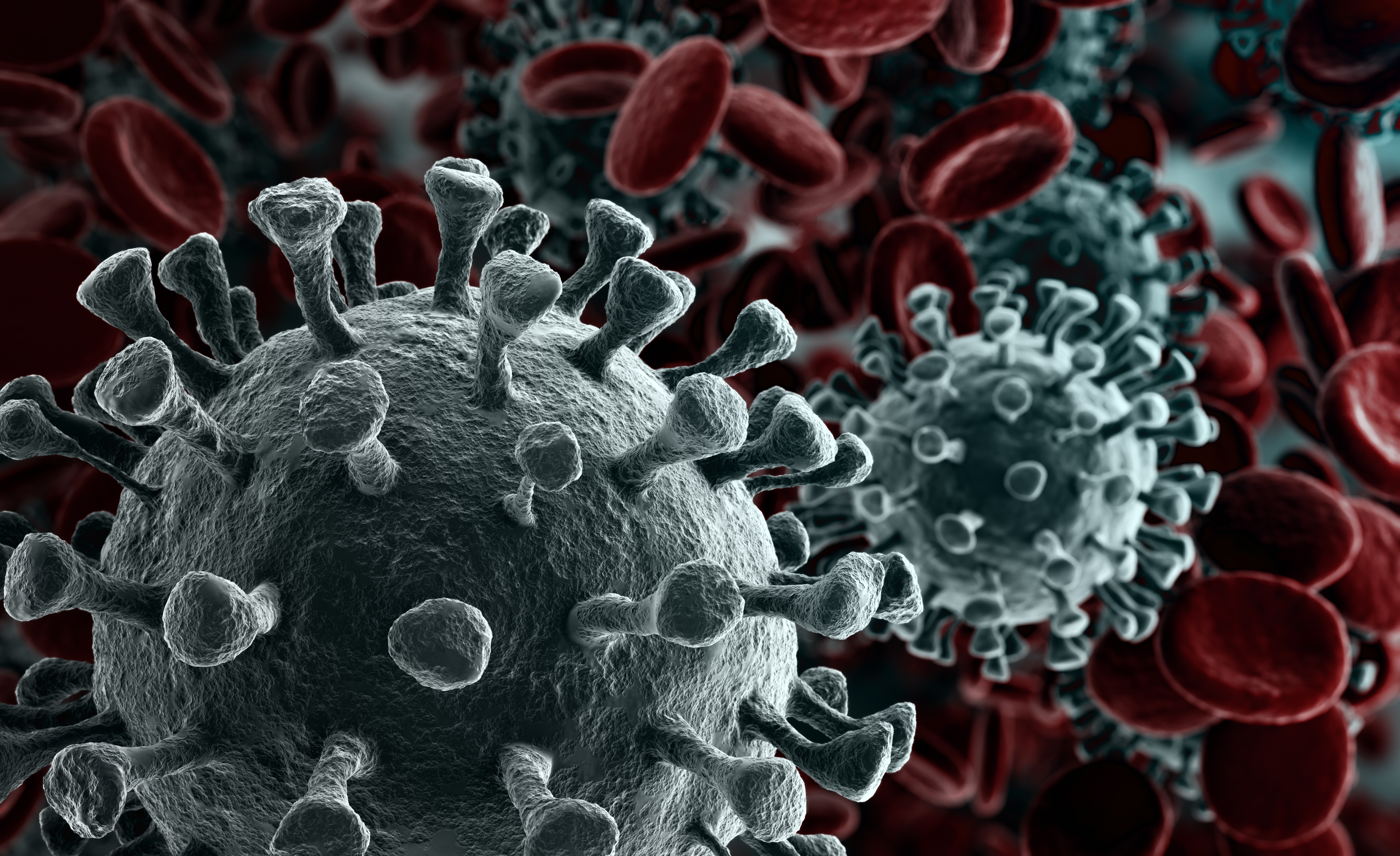 A close up image of virus particles