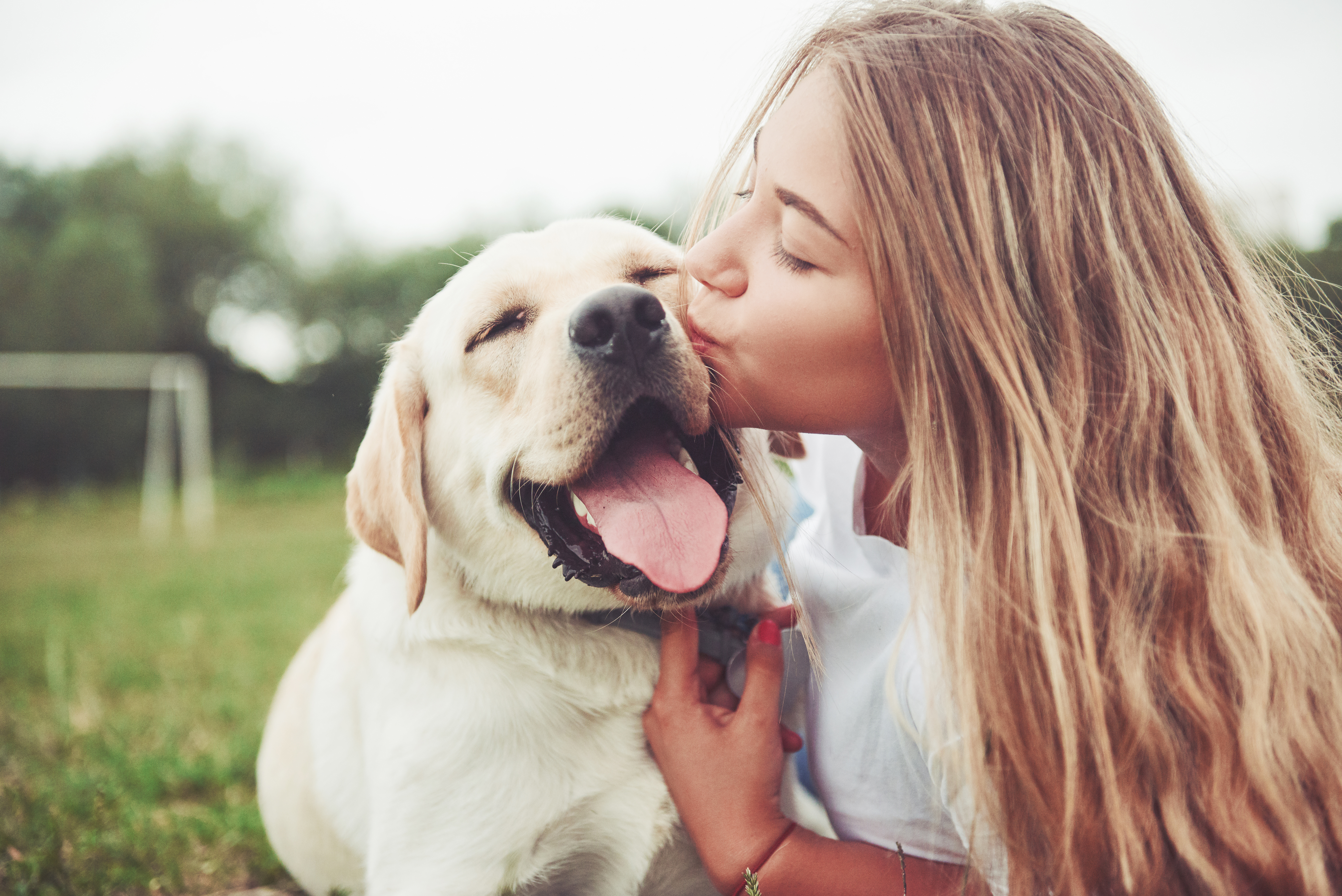 Woman kissing dog in the park