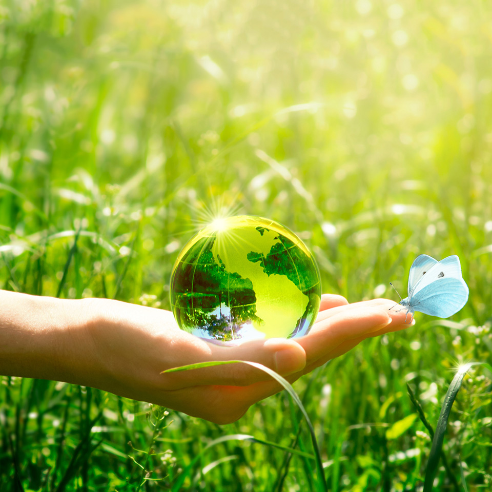 Green glass orb with the image of the earth being held by hand in front of a field