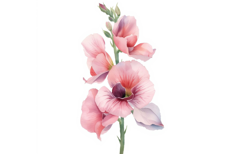 sweet pea april birth flower tattoo idea