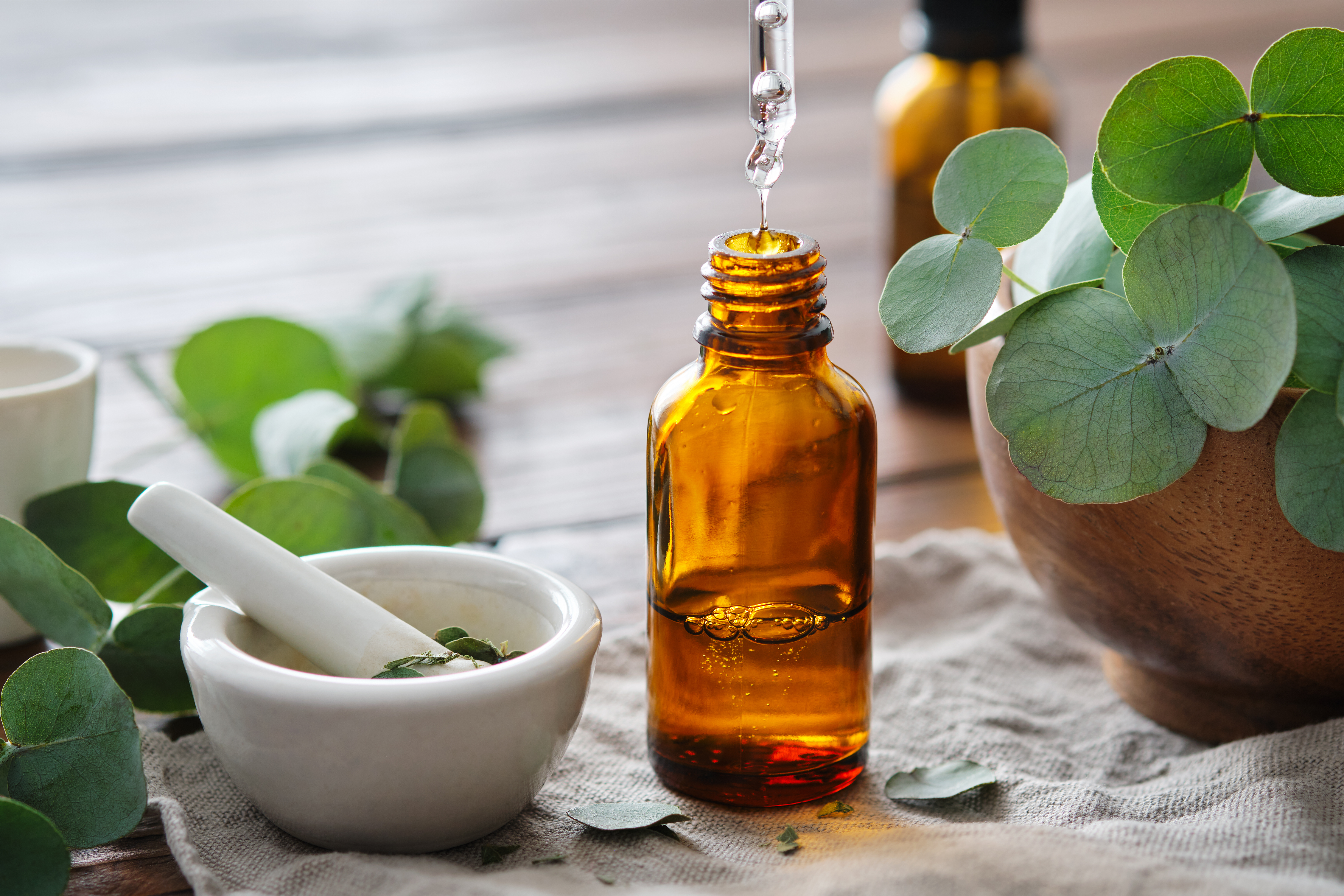 Eucalyptus oil for concentration