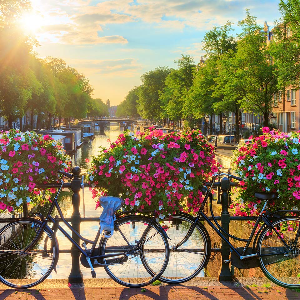 Sunrise over the canals of Amsterdam, The Netherlands, with vibrant flowers and bicycles on a bridge.