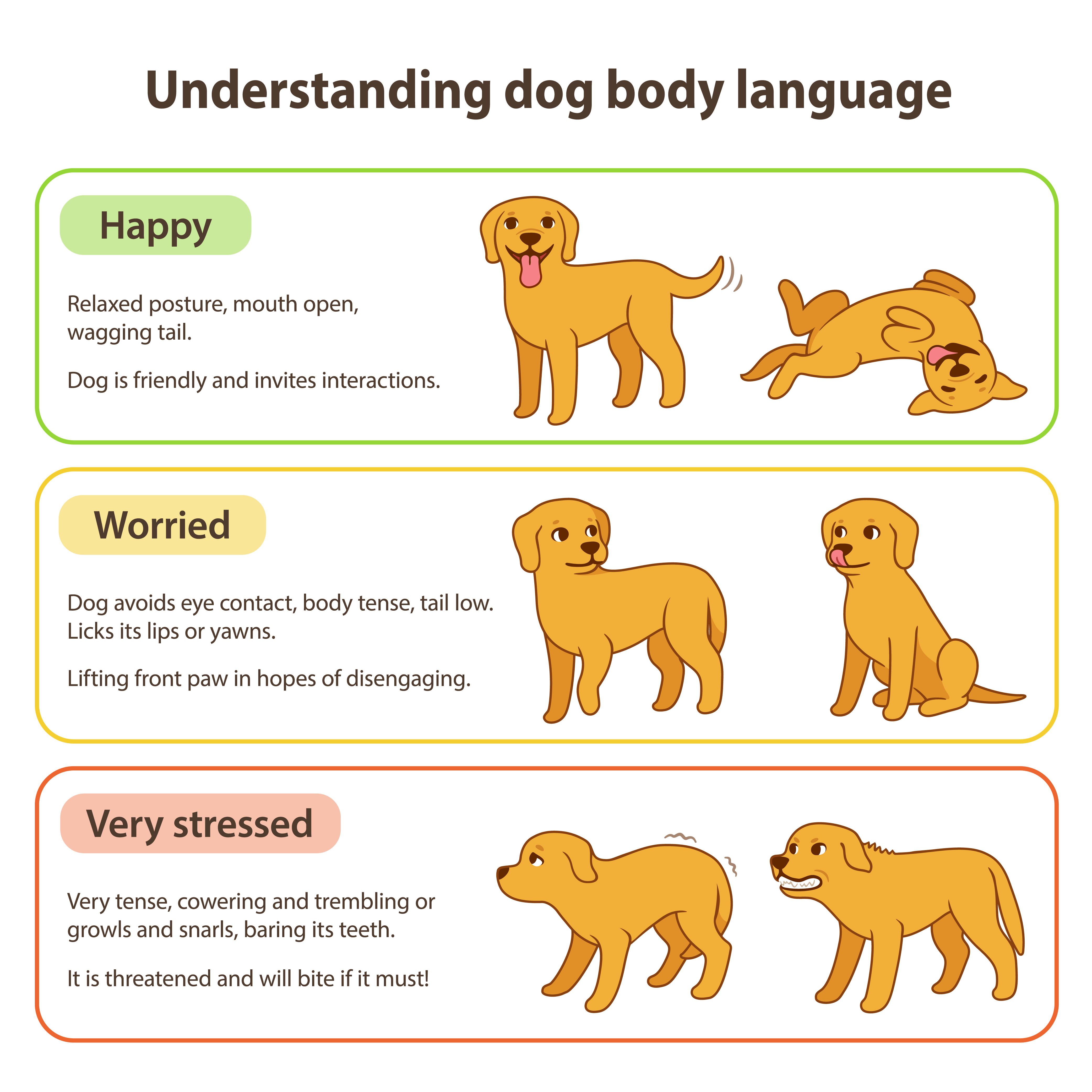 Dog body language chart