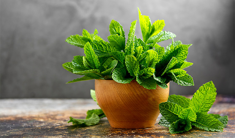 Fresh mint in a bowl – a staple of herbal recipes