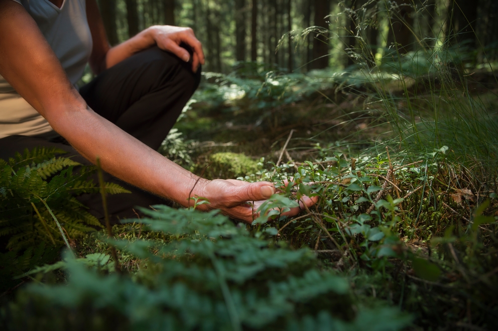 A woman gathering greenery during forest bathing