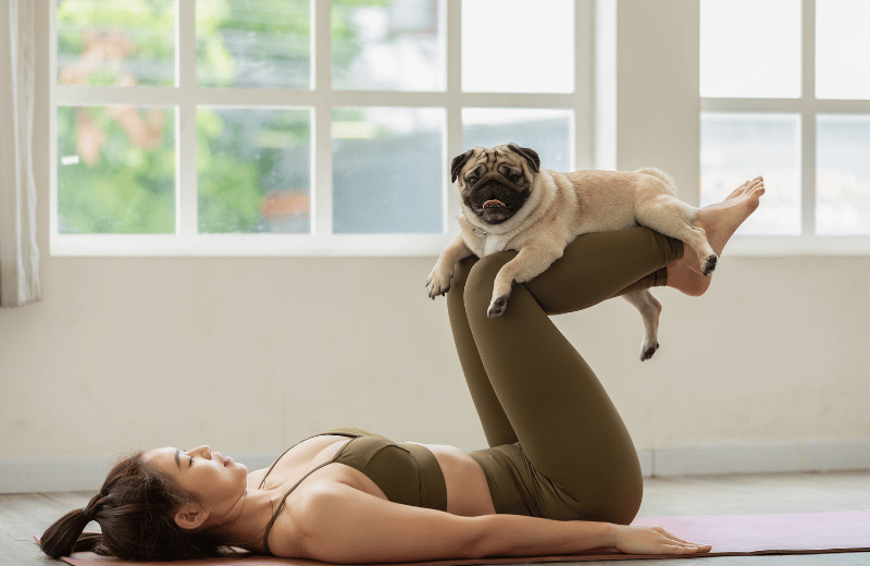 woman doing yoga with pug