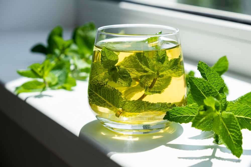 Peppermint tea health benefits