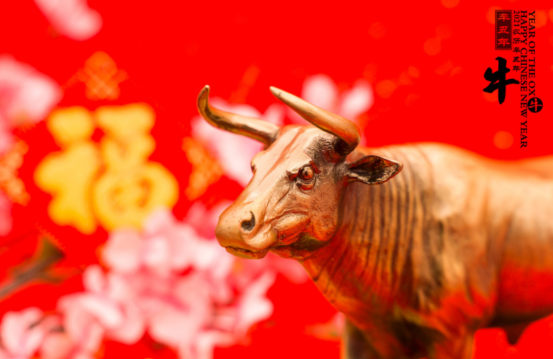 chinese Year of the Ox