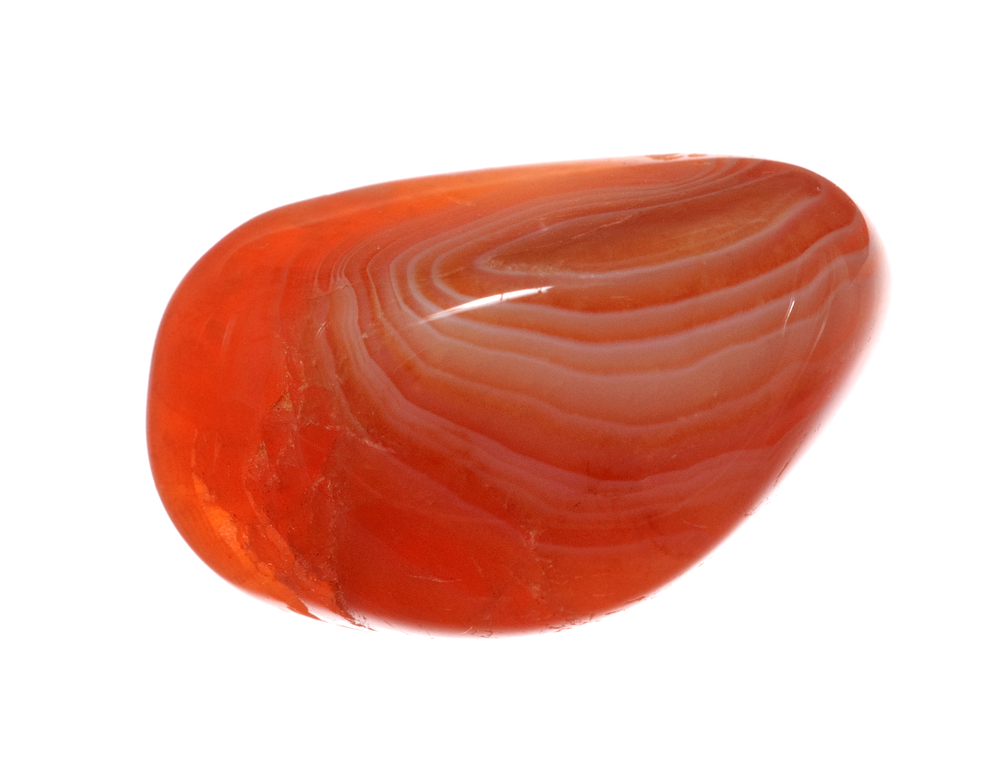 A polished piece of Red Agate on a white background