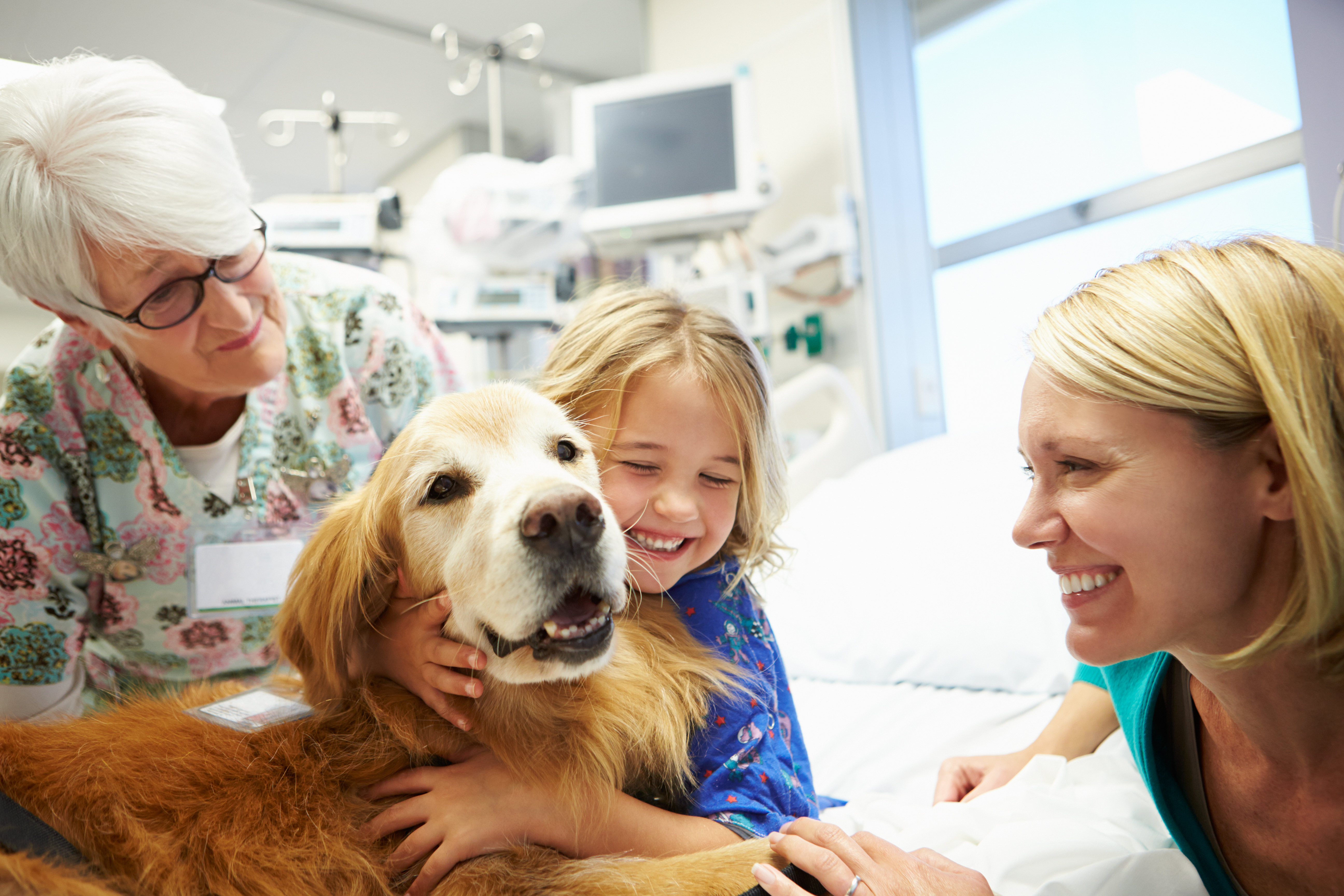 Therapy dog in a hospital setting