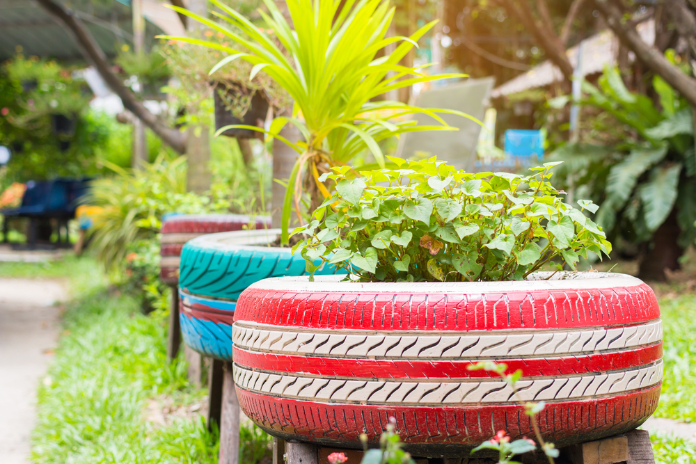 Tyres being used as a plant pot