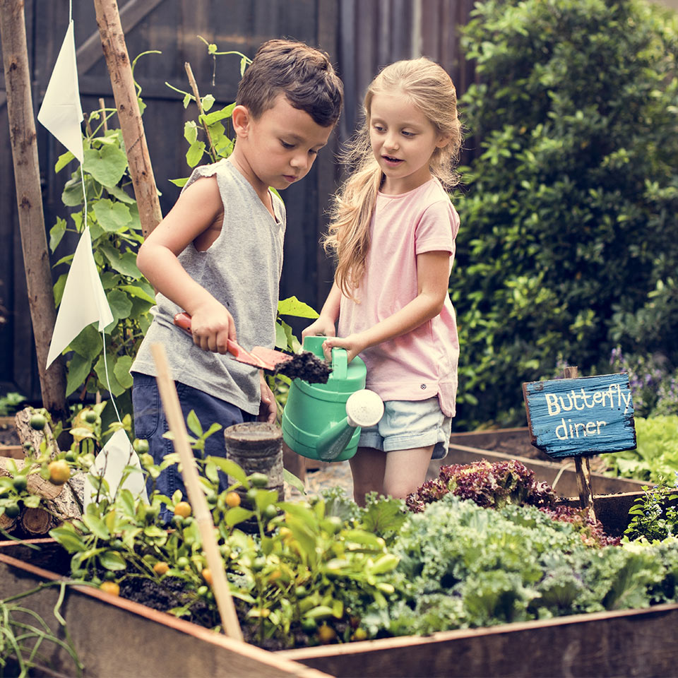 Group of children in an outdoor learning Environment