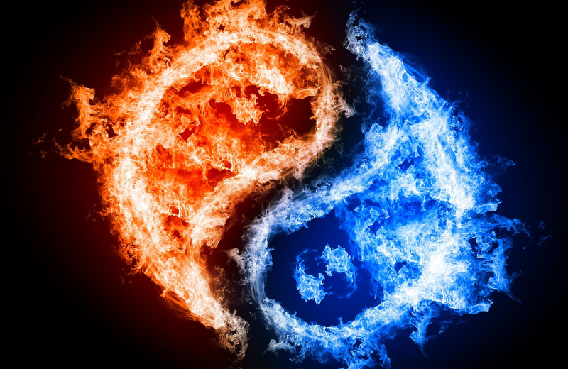 The Five Elements and the Horse Sign
