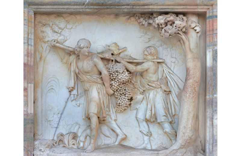 Historical artwork of grapes