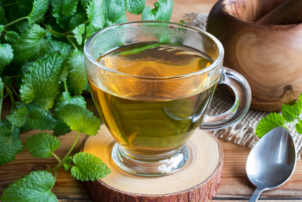 Lemon Balm Tea health benefits
