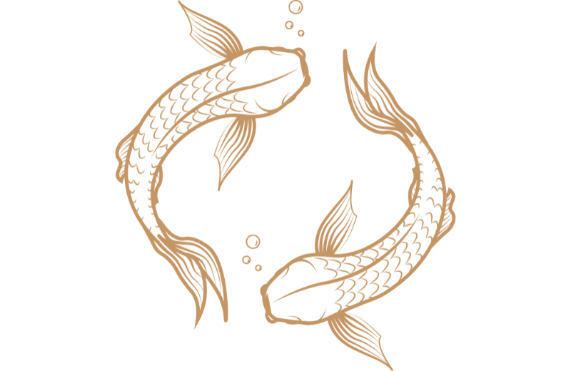 Aquarius and Pisces Compatibility