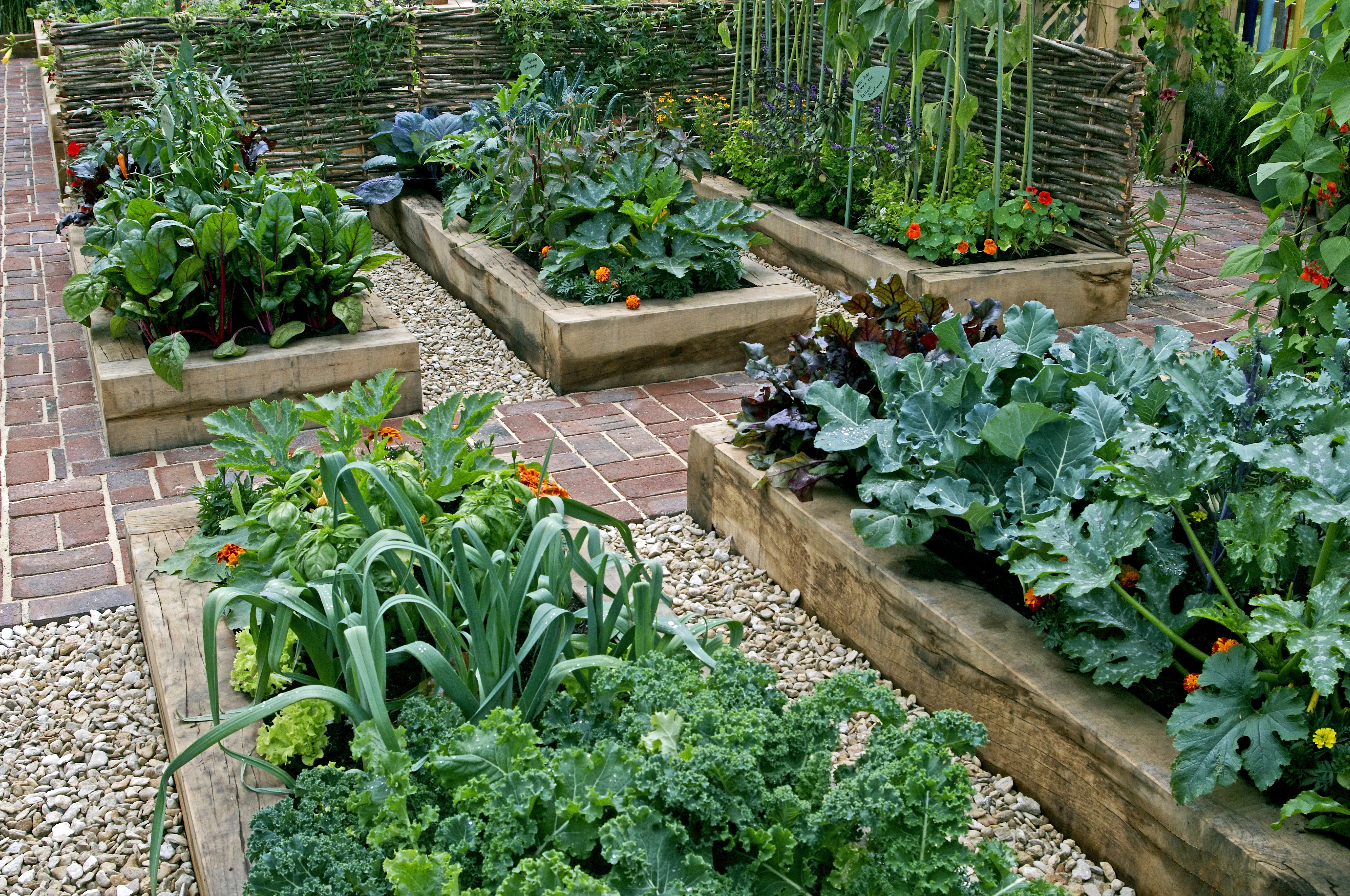 Image of an edible garden