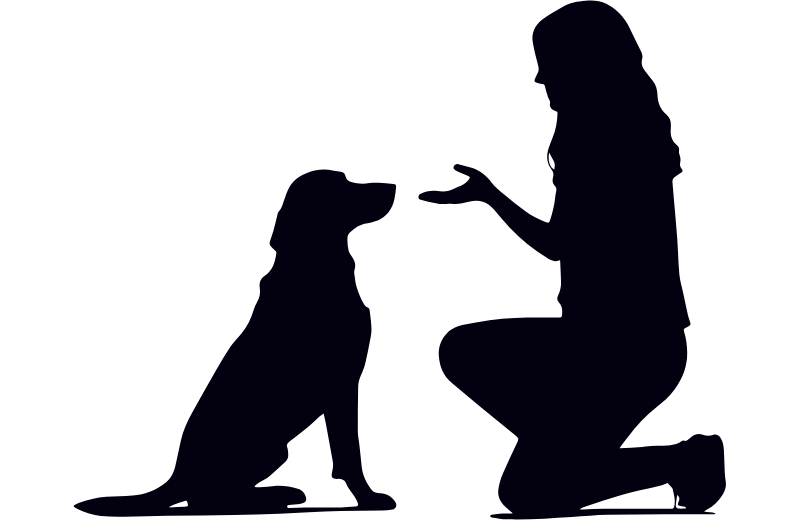 How to Toilet Train a Puppy: 7 Steps