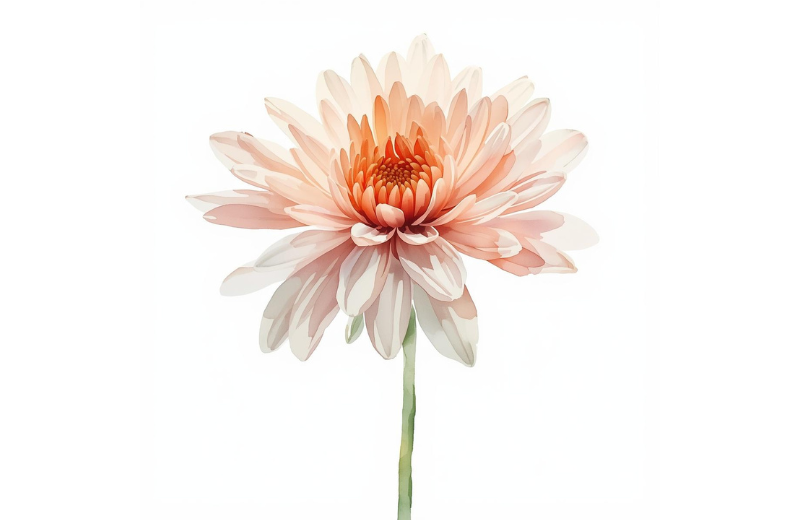 november birth flower tattoo idea