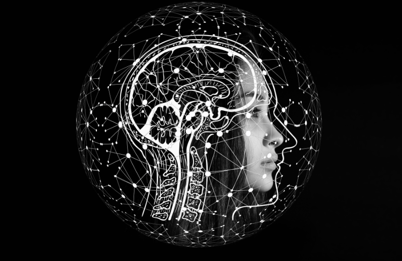 The Benefits of Cordyceps