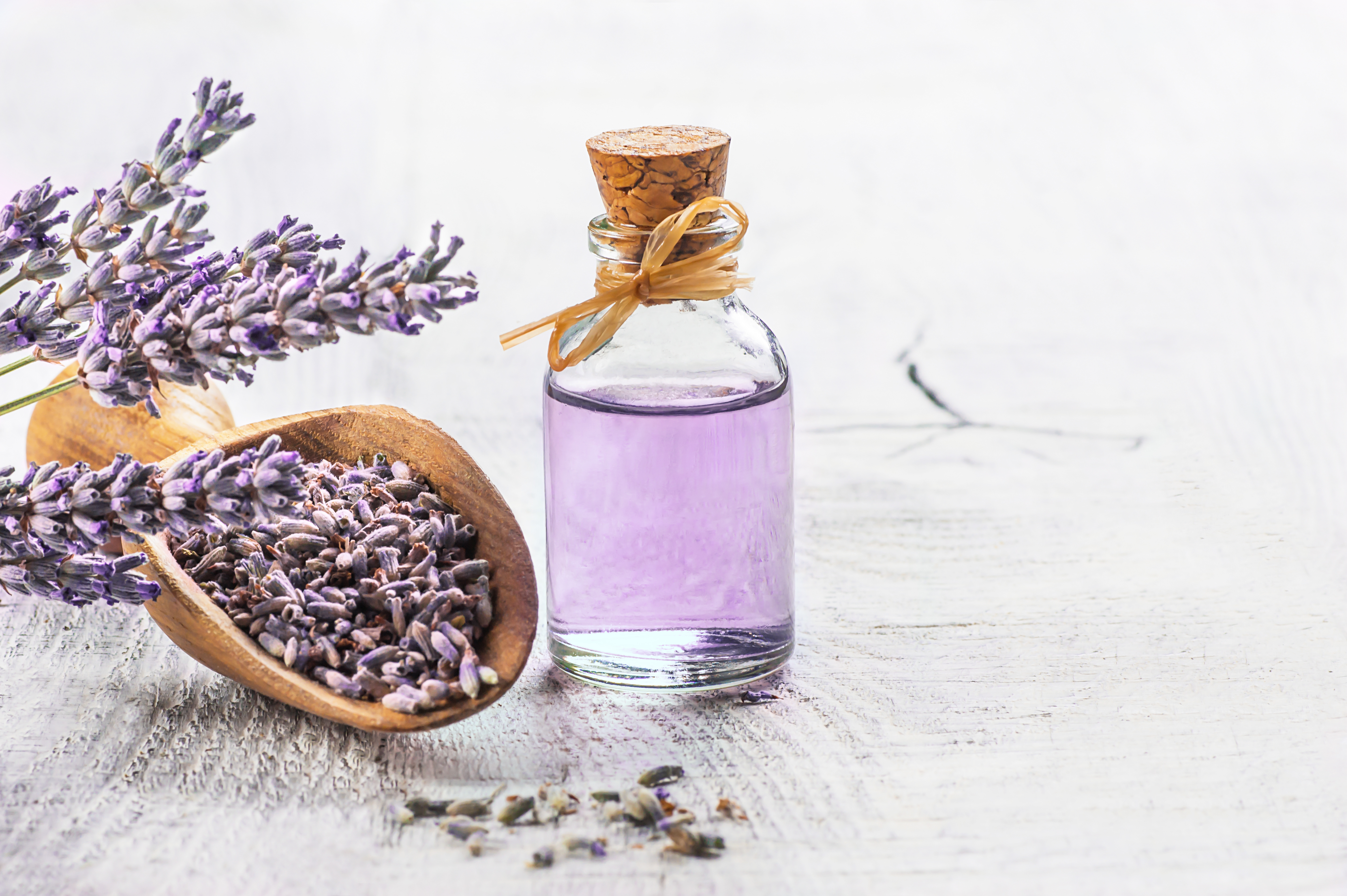 Dried lavender and essential oil