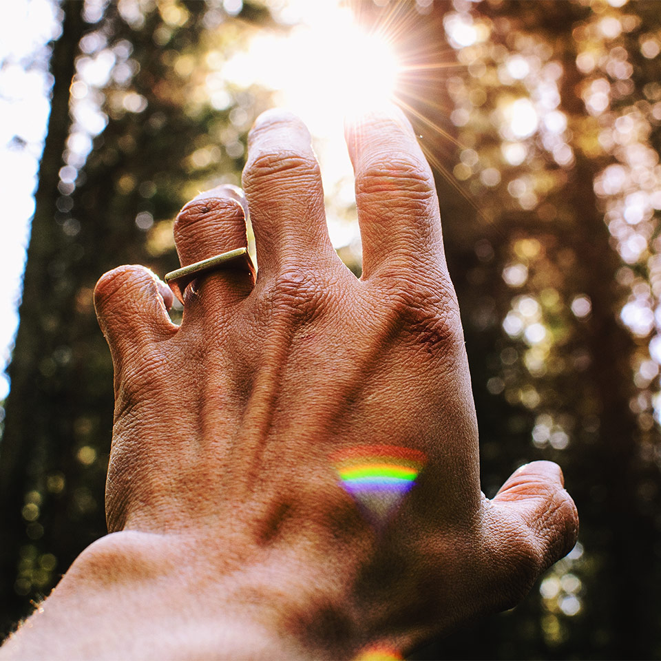 A hand reaching towards the sun, which can be seen between tall trees