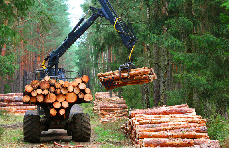 Causes of deforestation