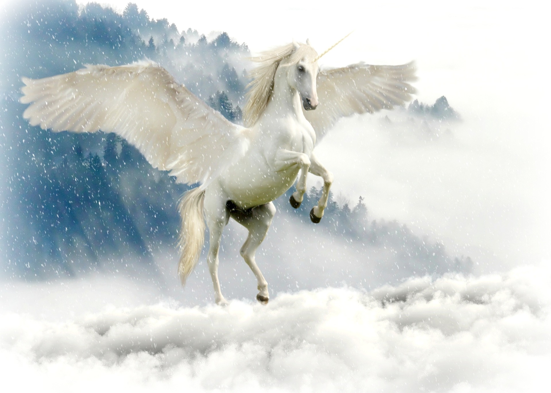 A winged unicorn on a cloud