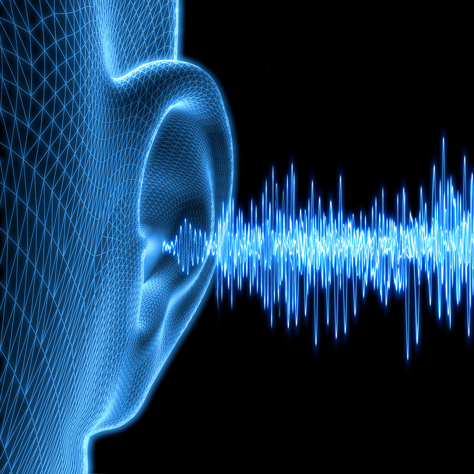 Wireframe illustration of a human ear with soundwaves entering it