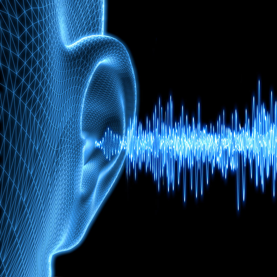 A graphic showing the human ear and frequency ranges.