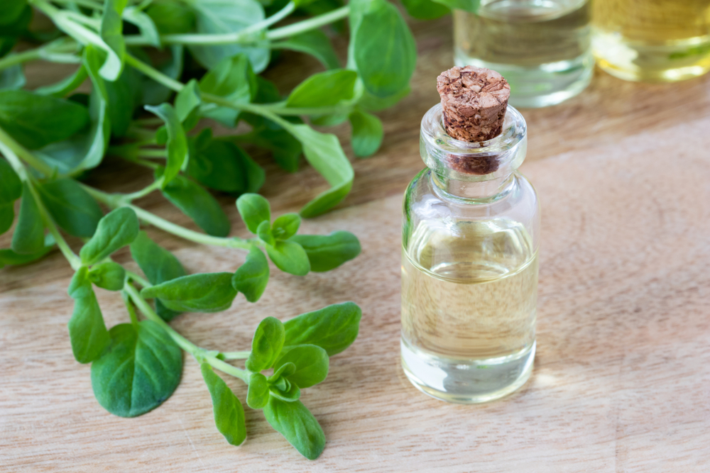 Marjoram next to a bottle of oil