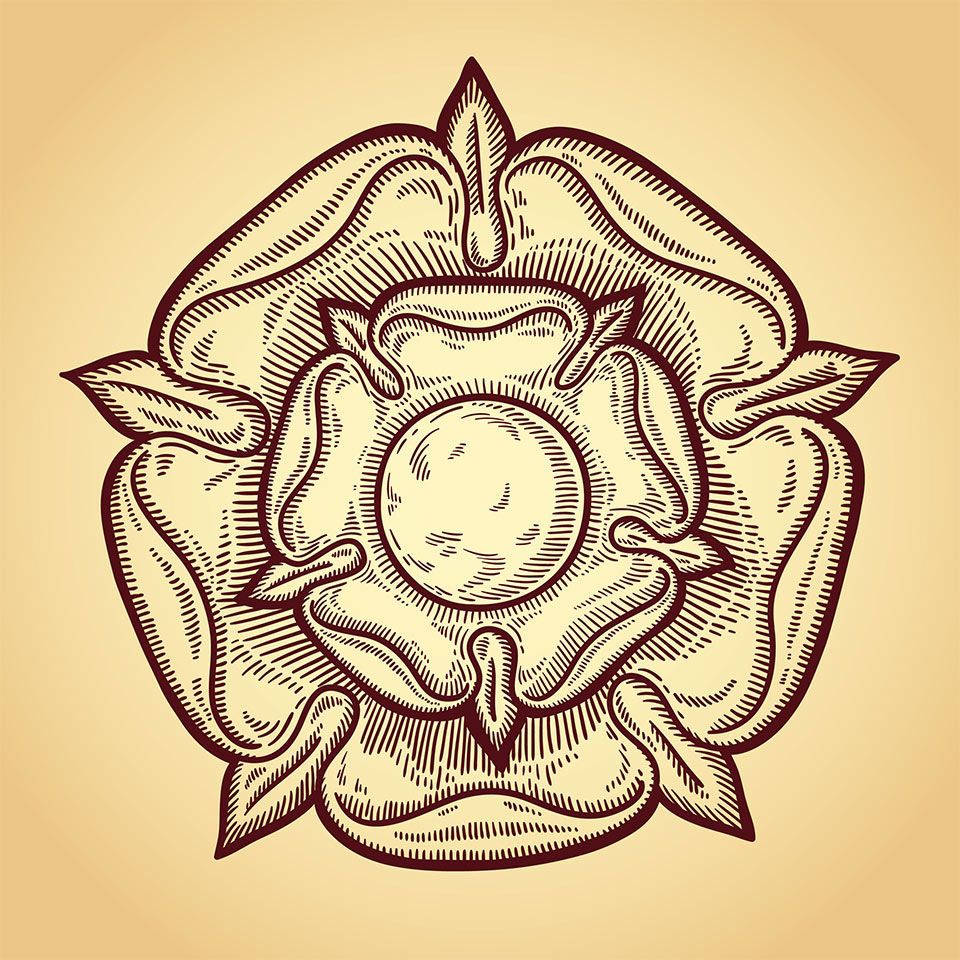 Illustration of a heraldic rose