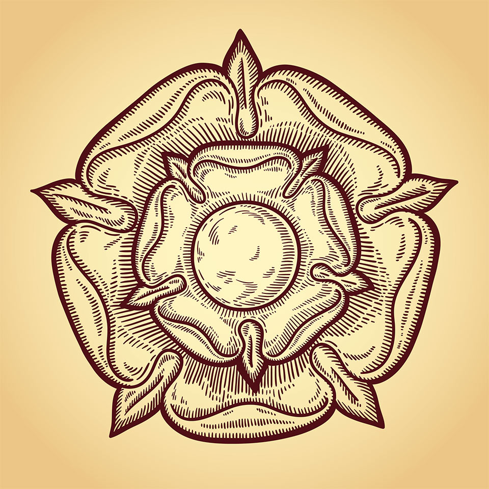 Illustration of a heraldic rose.