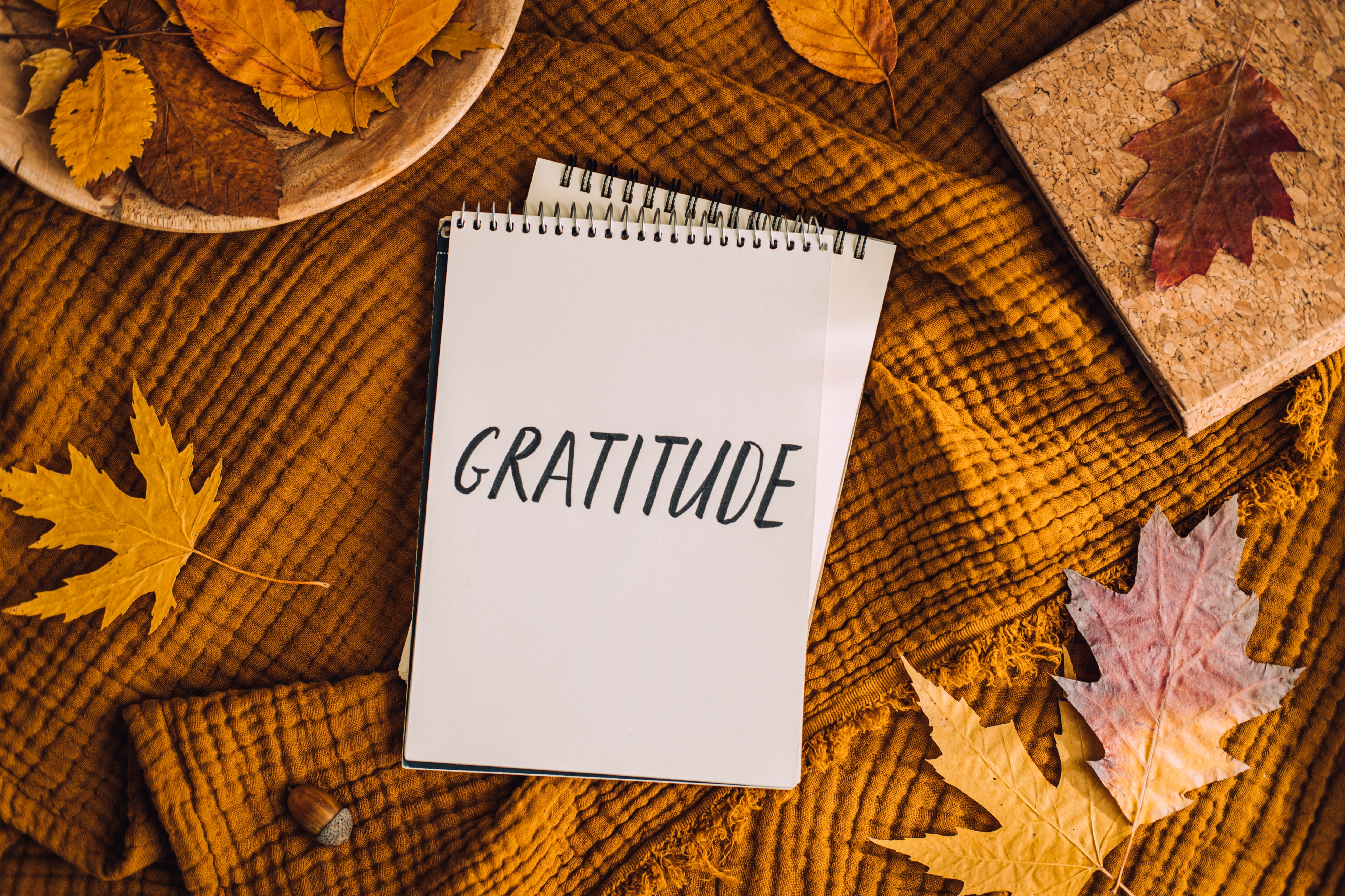 Autumn leaves with a notepad and the word gratitude written on it