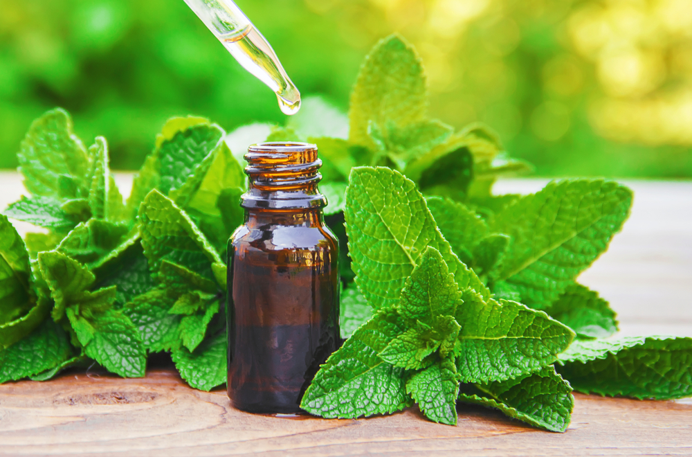 Peppermint leaves with a small bottle of peppermint oil