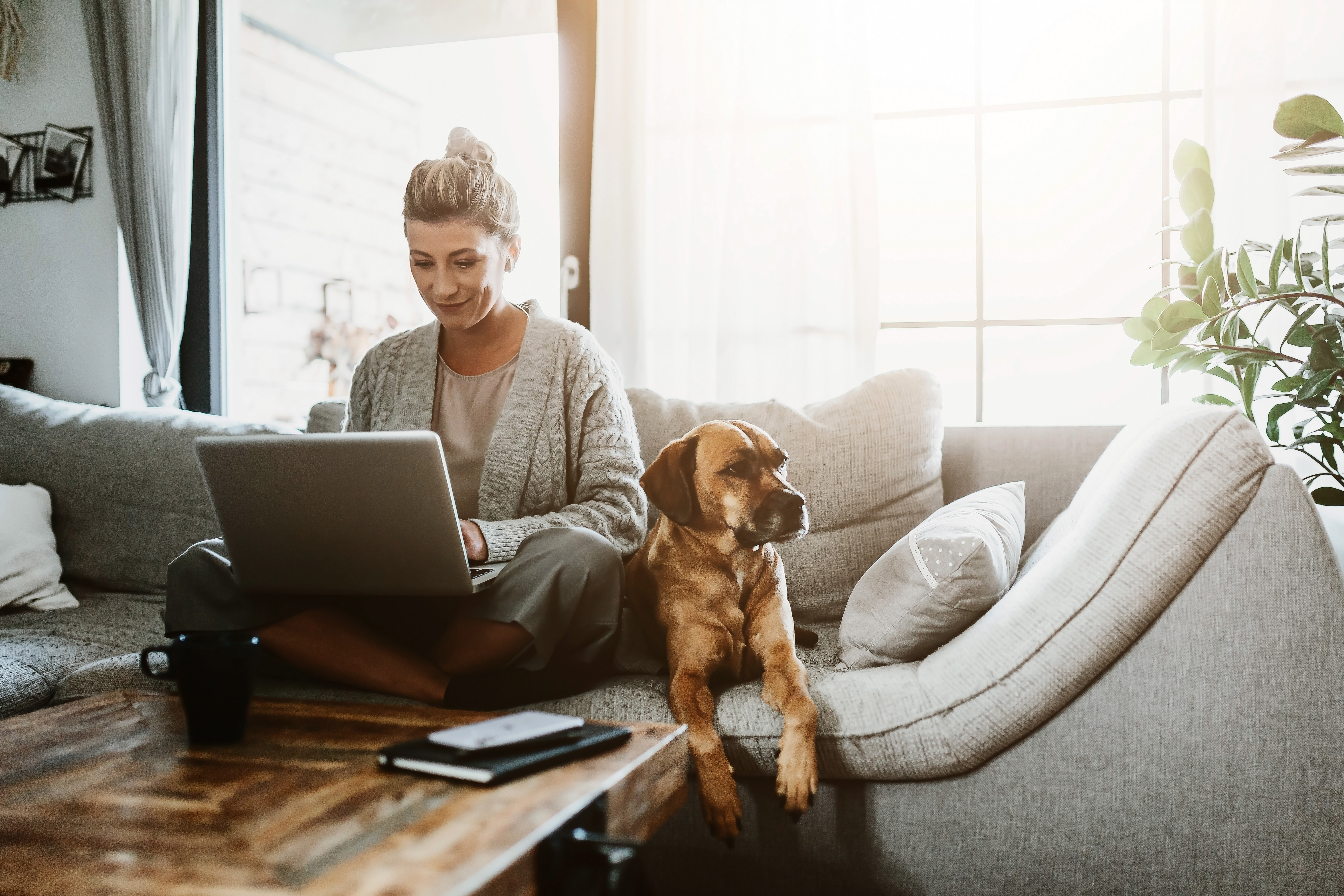 Woman working from home on couch with dog
