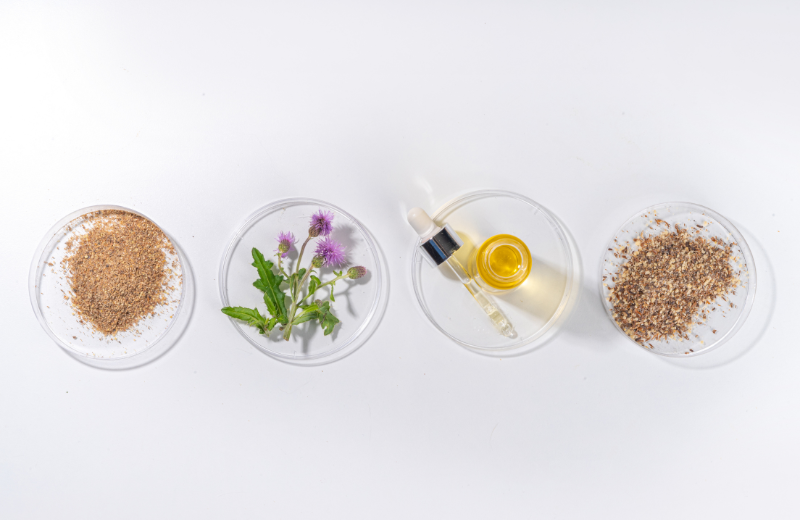 What is the Best Form of Milk Thistle to Take?