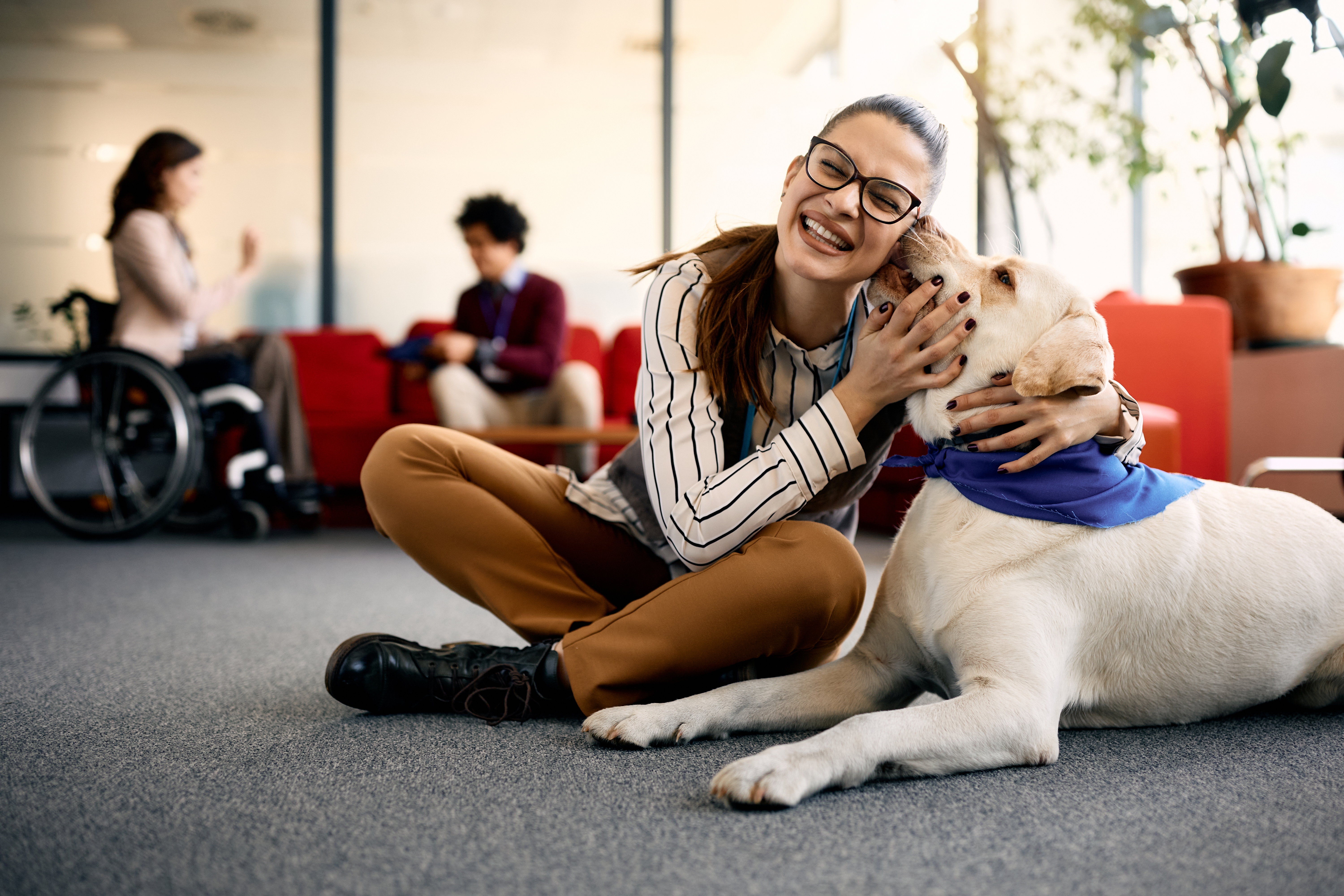 What does a therapy dog do?