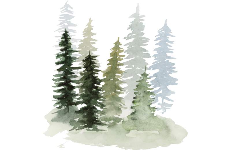 Pine Tree (松 - Matsu): Longevity and Strength