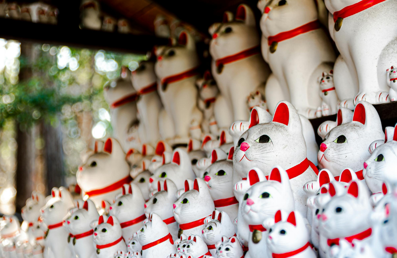 white Maneki-Nekos in varying sizes