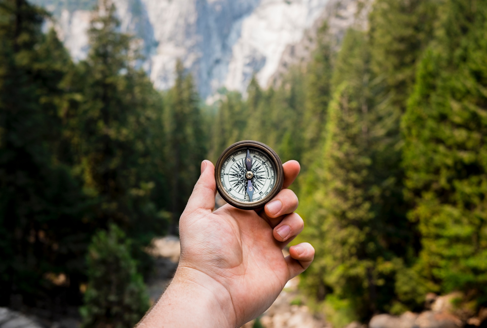 A compass being held up against the backdrop of a forest