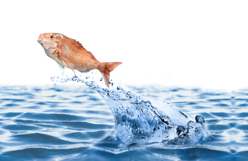 Page of Cups Imagery & Symbolism